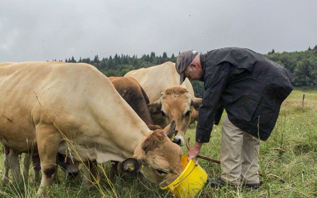 Meeting the Last Mobile Pastoralists of Geneva