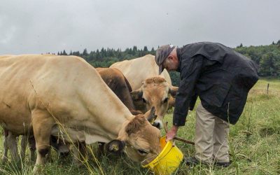 Meeting the Last Mobile Pastoralists of Geneva