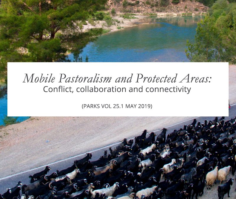 New Resource: Mobile Pastoralism and Protected Areas