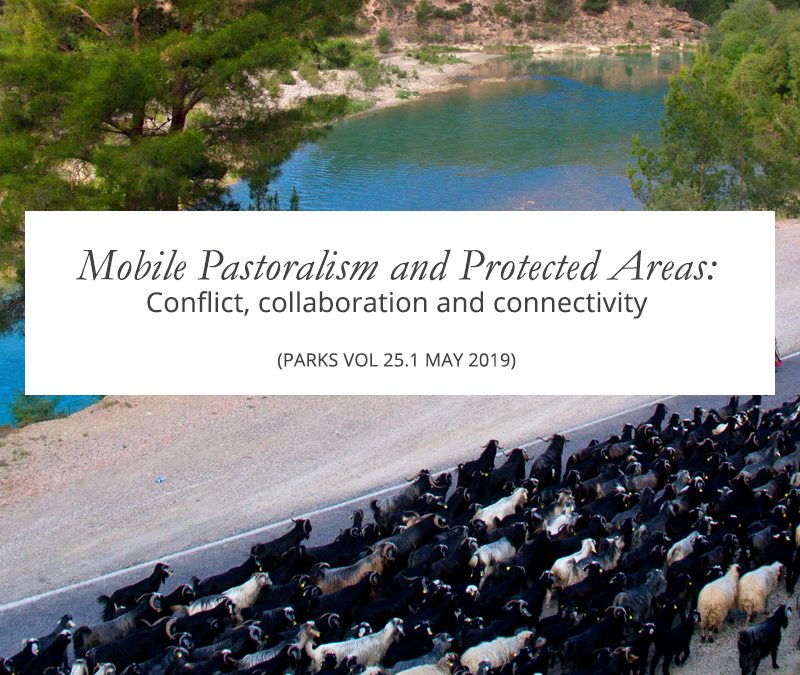 New Resource: Mobile Pastoralism and Protected Areas