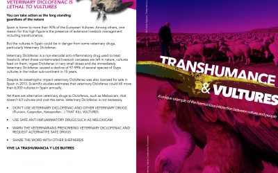 Transhumance and Vultures